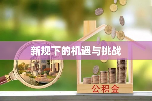 巩义新规下的机遇与挑战