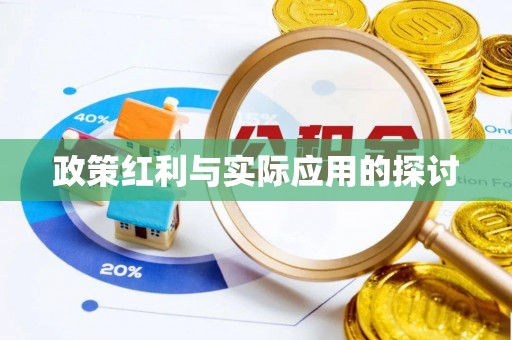 巩义政策红利与实际应用的探讨