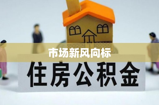巩义市场新风向标