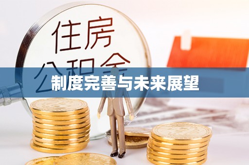 巩义制度完善与未来展望