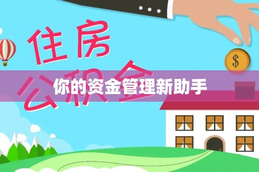 巩义你的资金管理新助手
