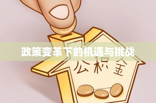 巩义政策变革下的机遇与挑战