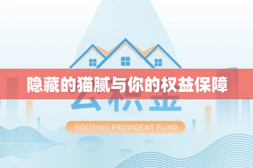 巩义隐藏的猫腻与你的权益保障
