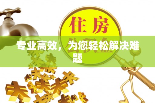 巩义专业高效，为您轻松解决难题